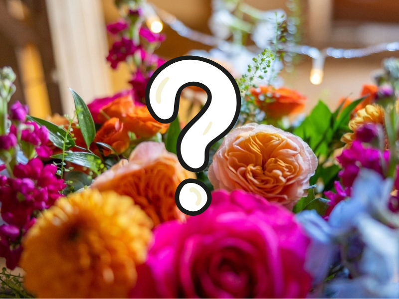 Florist Choice Aqua Pack