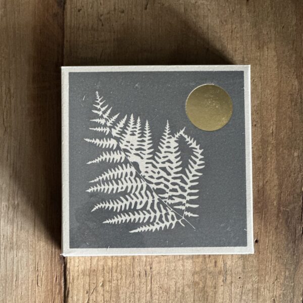 Fern