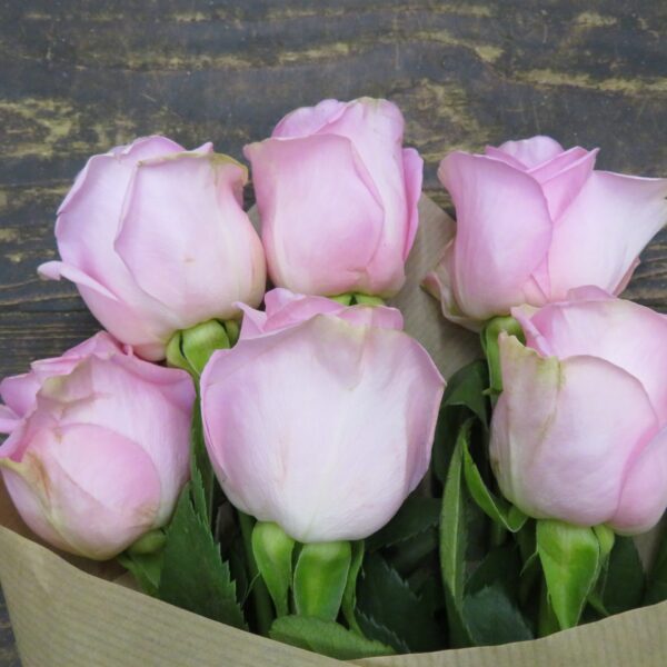 Roses