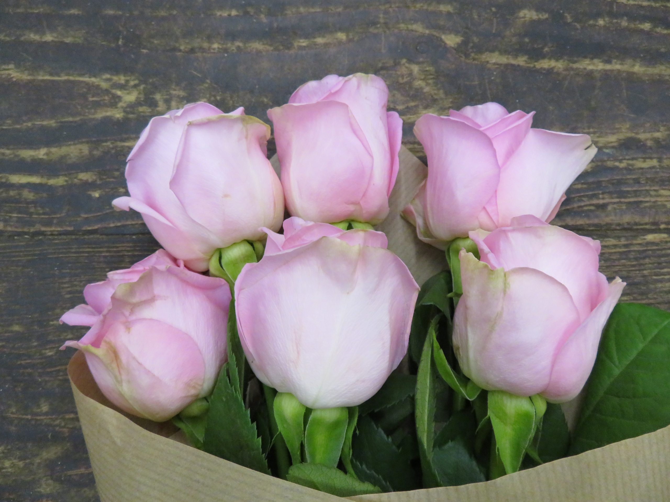 Roses