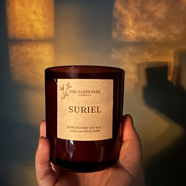 Candles