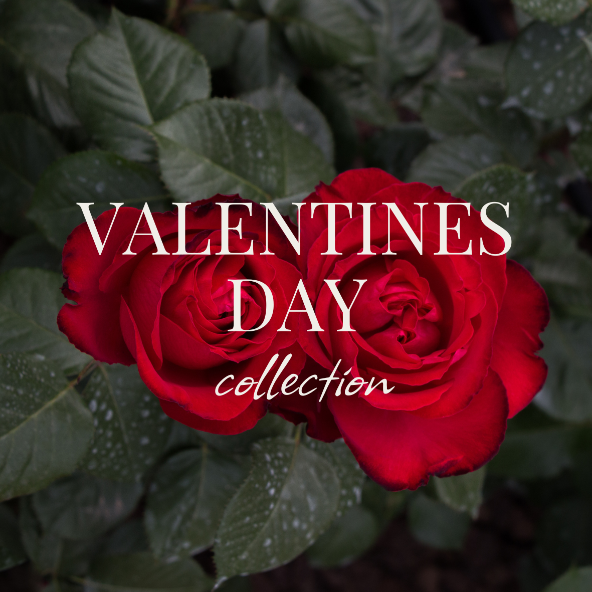 Valentines Day