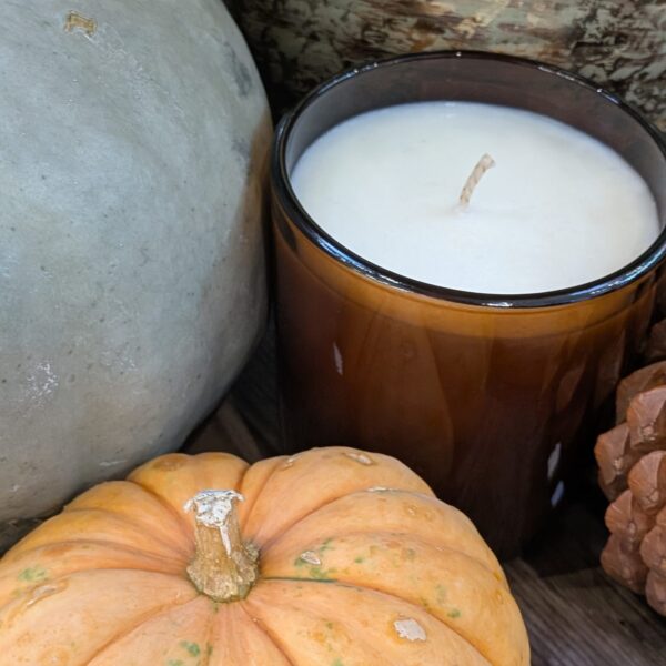 Candle Making Workshop (10th October 2026)